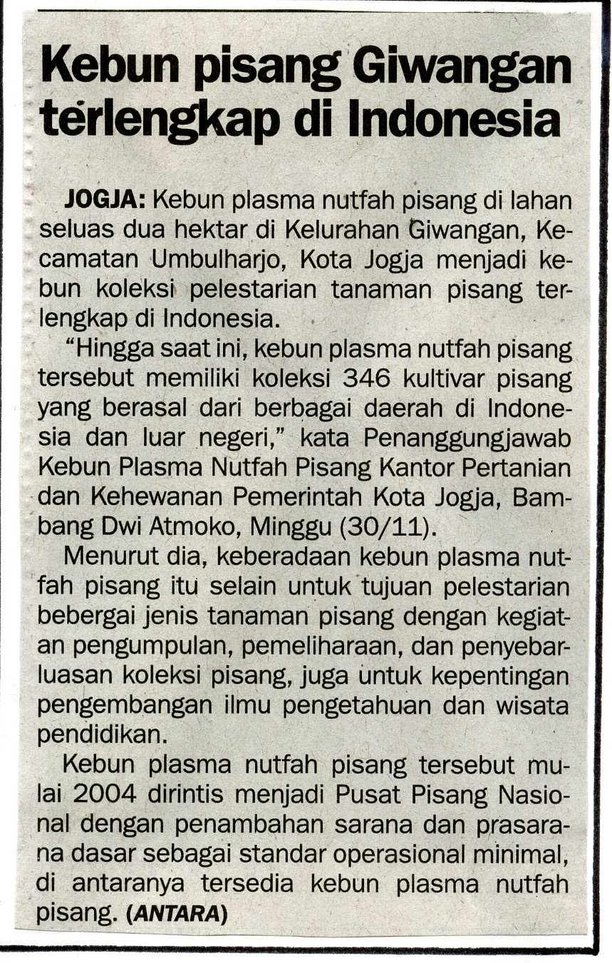 Kliping jogja terbaru